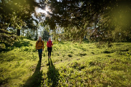 Anketa o zadovoljstvu s turizmom na Koroškem